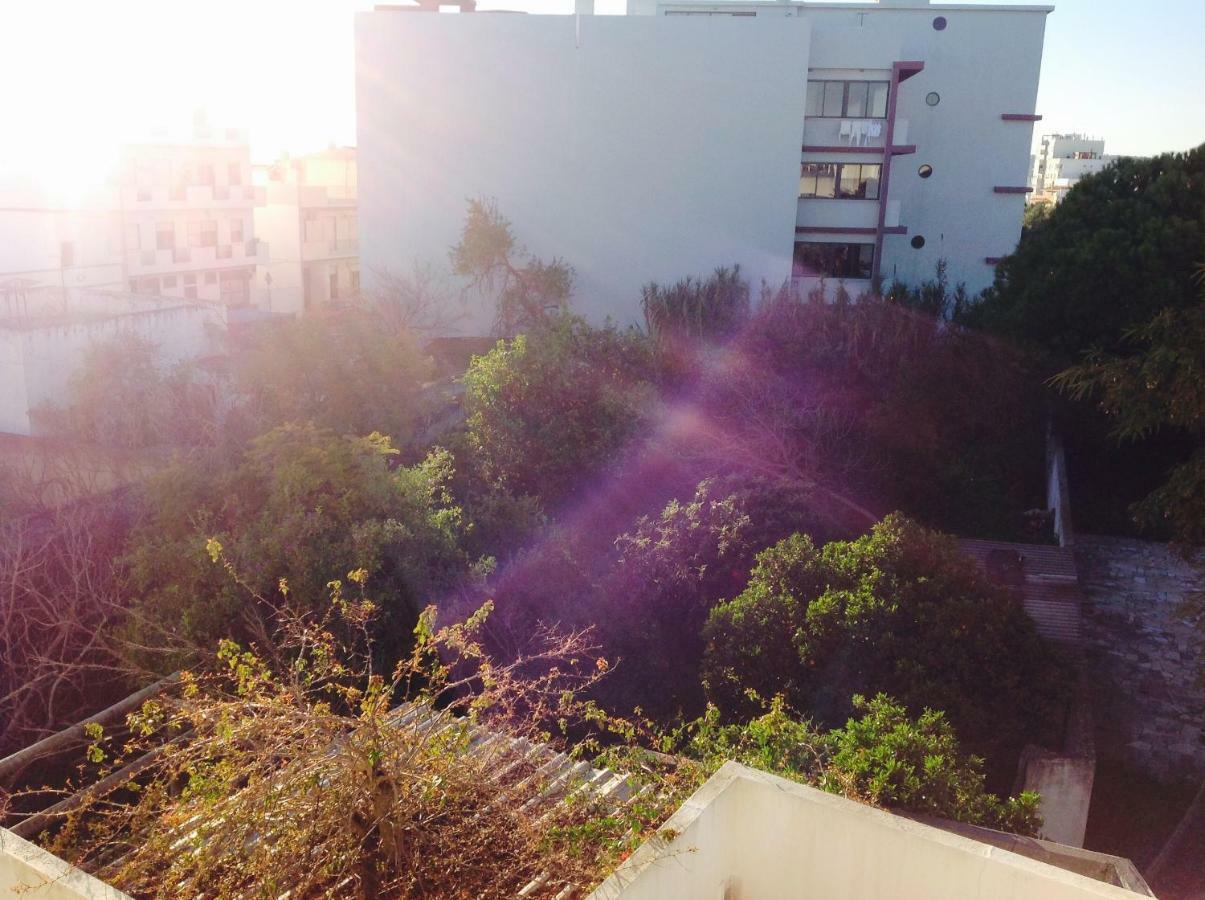 São Brás de Alportel Pensao Algarve Bed & Breakfast エクステリア 写真